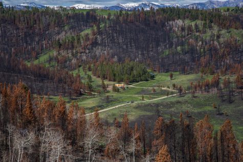 Amid acres of burned timber, a home under construction sits in a clearing in Hoback Ranches, Wyoming. Many of the 55 residents who lost homes in the Roosevelt Fire are working to rebuild  with little or no help. (Bailey Lewis/News21)