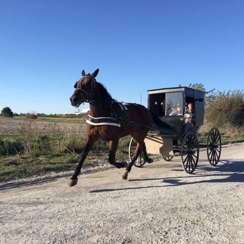 Photo by: PAM ORTEGA
An Amish family ride their horse and buggy down a dirt road in Kalona, Iowa.