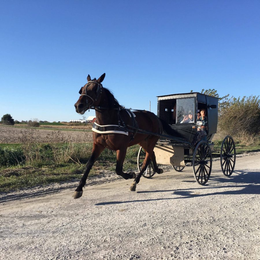 Photo by: PAM ORTEGA

An Amish family ride their horse and buggy down a dirt road in Kalona, Iowa.