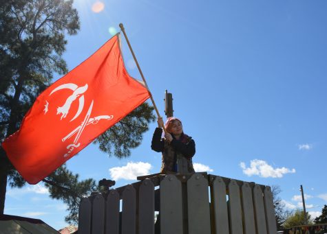 Medieval Fair show makes autistic teenager's dream reality