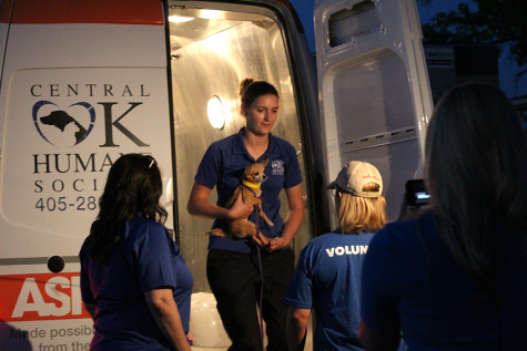 Oklahoma shelters open doors for pets stranded by Harvey
