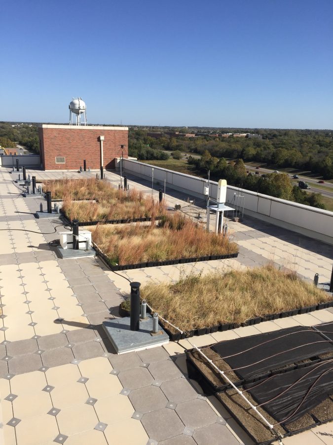 Groups of prairie grass native to the southern Plains lines the green roof of the National Weather Center in September 2017. Green roof ecosystems can reduce the cost of energy consumption in buildings. (Bret Betnar/University of Oklahoma Landscape Architecture)