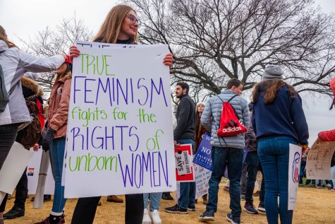 People gather in the National Mall in Washington D.C. to March for Life and listen to President Donald Trump speak on his pro-life position. This is the 47th annual pro-life rally and the first in American history where a president has attended. Photo by Brooklyn Wayland