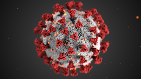 A model of the novel coronavirus. Stigma associated with COVID-19 infection has affected how people manage their health and communicate with others. (Gaylord News)