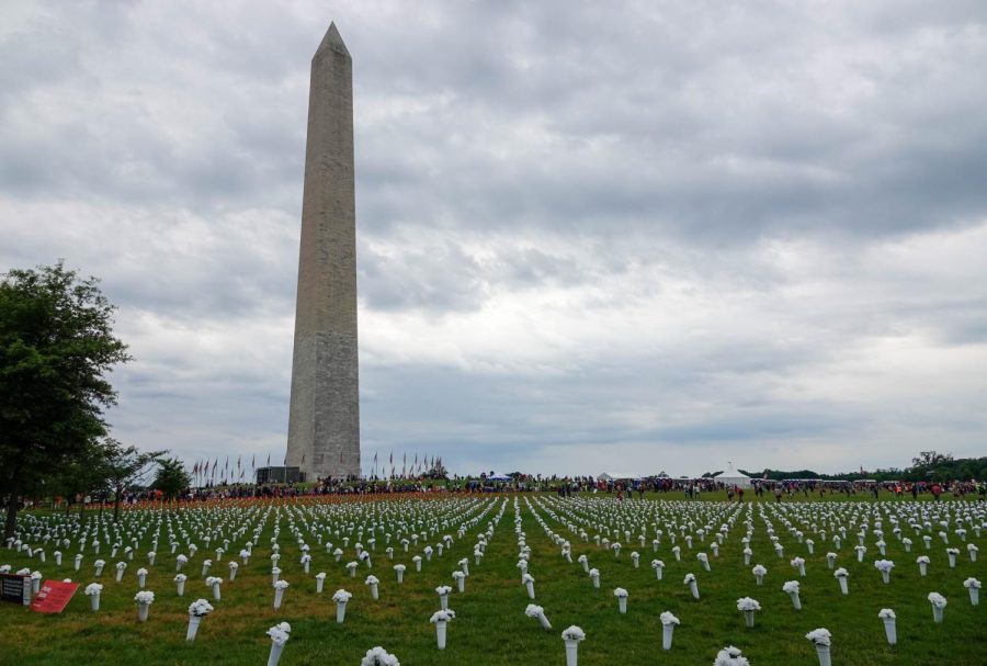 Around 45,000 flowers form a sprawling memorial on the National Mall during the March for Our Lives Demonstration on June 11, 2022. The memorial was commissioned by Gabby Giffords and is intended to symbolize the number of Americans who die annually from gun violence. Photo by: Dustan Heistand