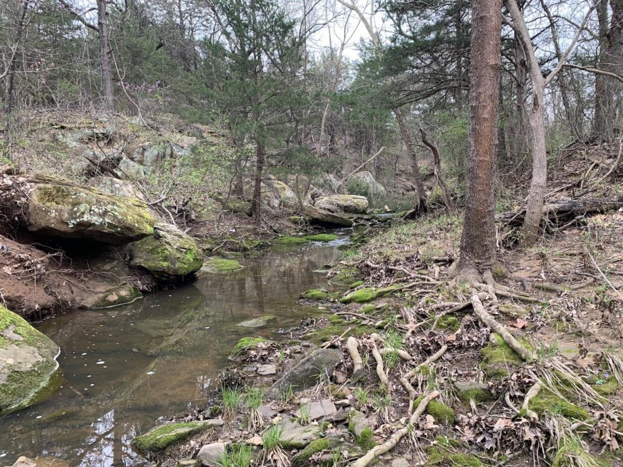 A creek near Cushing, Oklahoma, will remain under state environmental jurisdiction as long as the WOTUS rule is suspended.  (Gaylord News Photo/Brooklyn Wayland)