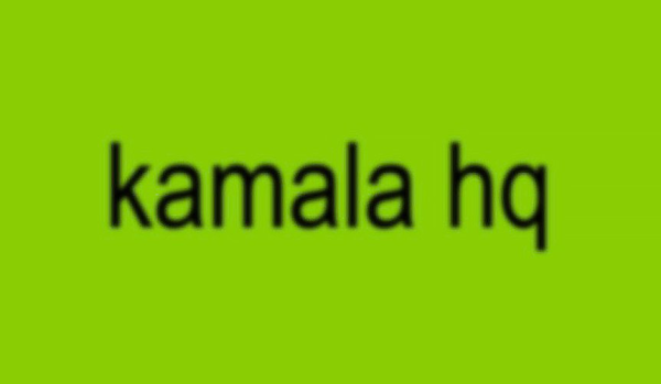 Kamala_HQ_Twitter_Header: The social media accounts of KamalaHQ, a Harris-Walz campaign account, utilize a banner replicating the lime green design of Charli XCXs’ “BRAT” album.