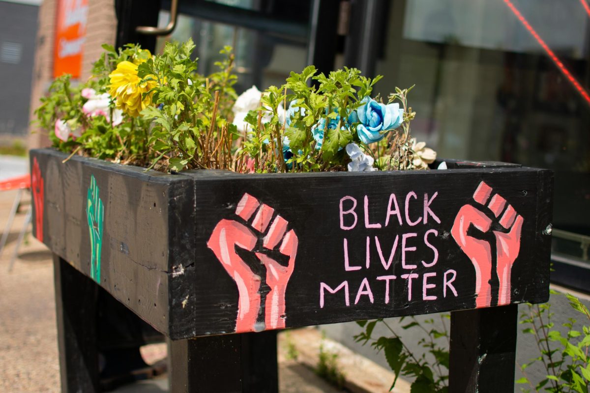 Part of the community garden in the Square. PHOTO: Maria Nairn