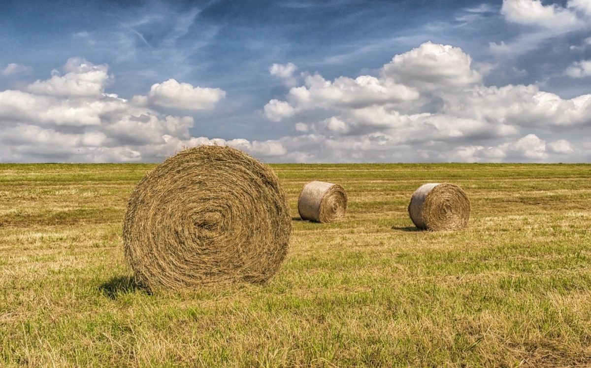 Oklahoma Farmland. / U.S. Department of Agriculture.