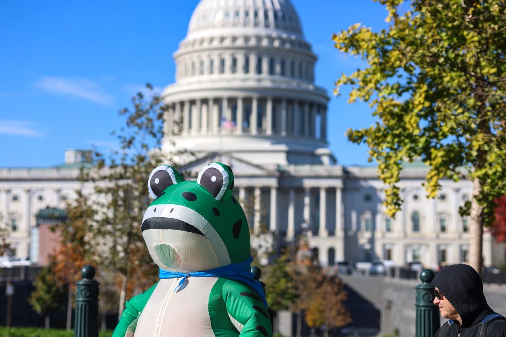 Protestor outside U.S. Capitol -- Nov. 5, 2025