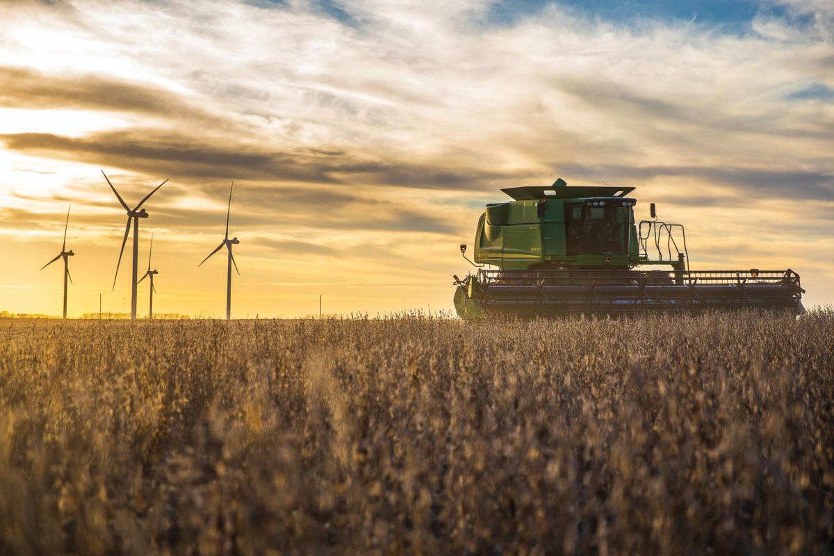Stacy Simunek's winter wheat farm. Photo provided by Stacy Simunek.
